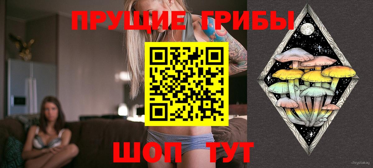 Электрогорск  Псилоцибиновые грибы MAGIC MUSHROOMS  Вход с VPN 