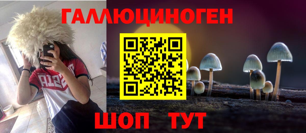 Галлюциногенные грибы Psilocybe Электрогорск