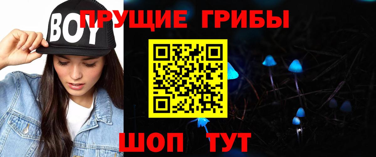 Бошки Шишки  Гашиш  КОКАИН  Меф   Электрогорск  Вход с VPN 